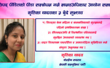 विपद्पीडितको पीडा सम्बोधन गर्न मानवअधिकार आयोग समक्ष कृतिका यादवका ३ बुँदे सुझाव