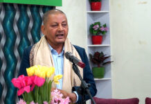 शुद्धताको कसीमा भाषा अब्बल हुनुपर्छ: प्रा.डा. न्यौपाने